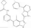 Fig. 573 - 3-(3H-imidazo[4,5-B]pyridin-2-yl)-1 H-pyrazolo[3,4-C]pyridine and therapeutic uses thereof
