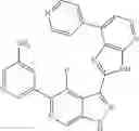 Fig. 582 - 3-(3H-imidazo[4,5-B]pyridin-2-yl)-1 H-pyrazolo[3,4-C]pyridine and therapeutic uses thereof