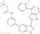 Fig. 75 - 3-(3H-imidazo[4,5-B]pyridin-2-yl)-1 H-pyrazolo[3,4-C]pyridine and therapeutic uses thereof