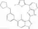 Fig. 853 - 3-(3H-imidazo[4,5-B]pyridin-2-yl)-1 H-pyrazolo[3,4-C]pyridine and therapeutic uses thereof