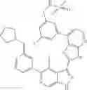 Fig. 905 - 3-(3H-imidazo[4,5-B]pyridin-2-yl)-1 H-pyrazolo[3,4-C]pyridine and therapeutic uses thereof