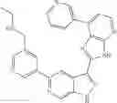 Fig. 91 - 3-(3H-imidazo[4,5-B]pyridin-2-yl)-1 H-pyrazolo[3,4-C]pyridine and therapeutic uses thereof