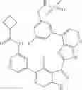 Fig. 911 - 3-(3H-imidazo[4,5-B]pyridin-2-yl)-1 H-pyrazolo[3,4-C]pyridine and therapeutic uses thereof