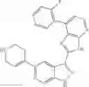 Fig. 981 - 3-(3H-imidazo[4,5-B]pyridin-2-yl)-1 H-pyrazolo[3,4-C]pyridine and therapeutic uses thereof