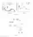 Fig. 12 - Molecules for isolation of polyribosomes, ribosomes, uses and kits thereof