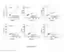 Fig. 16 - Molecules for isolation of polyribosomes, ribosomes, uses and kits thereof