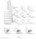 Fig. 17 - Molecules for isolation of polyribosomes, ribosomes, uses and kits thereof