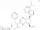 Fig. 26 - Molecules for isolation of polyribosomes, ribosomes, uses and kits thereof