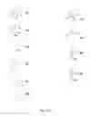 Fig. 16 - Organoboron compounds and methods of making organoboron compounds