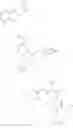 Fig. 259 - Boron-containing diacylhydrazine compounds