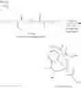 Fig. 16 - Dehydrogenative silylation, hydrosilylation and crosslinking using pyridinediimine cobalt carboxylate catalysts
