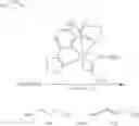 Fig. 58 - Dehydrogenative silylation, hydrosilylation and crosslinking using pyridinediimine cobalt carboxylate catalysts