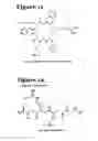 Fig. 07 - Peptoid