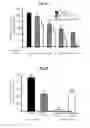 Fig. 04 - Cell-penetrating compositions and methods using same