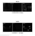Fig. 08 - Cell-penetrating compositions and methods using same