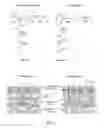 Fig. 02 - CATIONIC PEPTIDOPOLYSACCHARIDES WITH EXCELLENT BROAD- SPECTRUM ANTIMICROBIAL ACTIVITIES AND HIGH SELECTIVITY