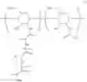 Fig. 13 - CATIONIC PEPTIDOPOLYSACCHARIDES WITH EXCELLENT BROAD- SPECTRUM ANTIMICROBIAL ACTIVITIES AND HIGH SELECTIVITY