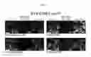 Fig. 16 - Allophycocyanin alpha-subunit evolved labeling proteins (smURFPs)