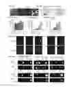 Fig. 21 - Allophycocyanin alpha-subunit evolved labeling proteins (smURFPs)