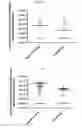 Fig. 06 - Proteins and nucleic acids useful in vaccines targeting Pseudomonas Aeruginosa