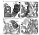 Fig. 01 - Selective Mcl-1 binding peptides