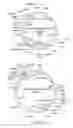 Fig. 32 - METHODS AND COMPOSITIONS FOR GENERATING AN IMMUNE RESPONSE BY INDUCING CD40 AND PATTERN RECOGNITION RECEPTORS AND ADAPTORS THEREOF