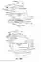 Fig. 33 - METHODS AND COMPOSITIONS FOR GENERATING AN IMMUNE RESPONSE BY INDUCING CD40 AND PATTERN RECOGNITION RECEPTORS AND ADAPTORS THEREOF
