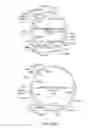 Fig. 34 - METHODS AND COMPOSITIONS FOR GENERATING AN IMMUNE RESPONSE BY INDUCING CD40 AND PATTERN RECOGNITION RECEPTORS AND ADAPTORS THEREOF