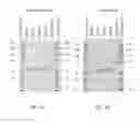 Fig. 11 - APOA-1 FUSION POLYPEPTIDES AND RELATED COMPOSITIONS AND METHODS