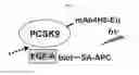 Fig. 03 - Fibronectin based scaffold domain proteins that bind PCSK9