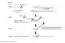Fig. 04 - Tau-binding antibodies