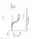Fig. 05 - VEGF-BINDING MOLECULES
