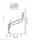 Fig. 17 - VEGF-BINDING MOLECULES