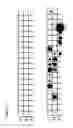 Fig. 19 - Antibodies to IL-6 and use thereof