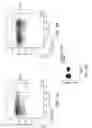 Fig. 07 - Anti-CD47 antibodies and methods of use