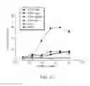 Fig. 16 - Anti-CD47 antibodies and methods of use