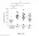 Fig. 18 - Anti-CD47 antibodies and methods of use