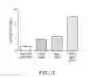 Fig. 20 - Anti-CD47 antibodies and methods of use