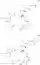 Fig. 41 - Humanized anti-CD79b antibodies and immunoconjugates and methods of use