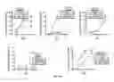 Fig. 24 - B7-H1, A NOVEL IMMUNOREGULATORY MOLECULE