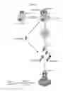 Fig. 02 - RAPID CLEARANCE OF ANTIGEN COMPLEXES USING NOVEL ANTIBODIES