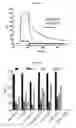 Fig. 04 - RAPID CLEARANCE OF ANTIGEN COMPLEXES USING NOVEL ANTIBODIES