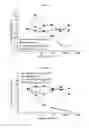 Fig. 12 - RAPID CLEARANCE OF ANTIGEN COMPLEXES USING NOVEL ANTIBODIES