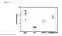 Fig. 17 - RAPID CLEARANCE OF ANTIGEN COMPLEXES USING NOVEL ANTIBODIES