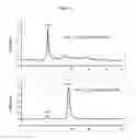 Fig. 31 - RAPID CLEARANCE OF ANTIGEN COMPLEXES USING NOVEL ANTIBODIES