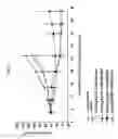 Fig. 02 - Anti-mesothelin immunoconjugates and uses therefor