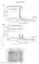 Fig. 05 - BISPECIFIC AND MULTISPECIFIC ANTIBODIES AND METHOD FOR ISOLATION OF SUCH