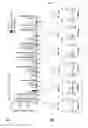 Fig. 08 - BISPECIFIC AND MULTISPECIFIC ANTIBODIES AND METHOD FOR ISOLATION OF SUCH