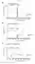 Fig. 09 - BISPECIFIC AND MULTISPECIFIC ANTIBODIES AND METHOD FOR ISOLATION OF SUCH