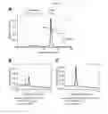 Fig. 10 - BISPECIFIC AND MULTISPECIFIC ANTIBODIES AND METHOD FOR ISOLATION OF SUCH
